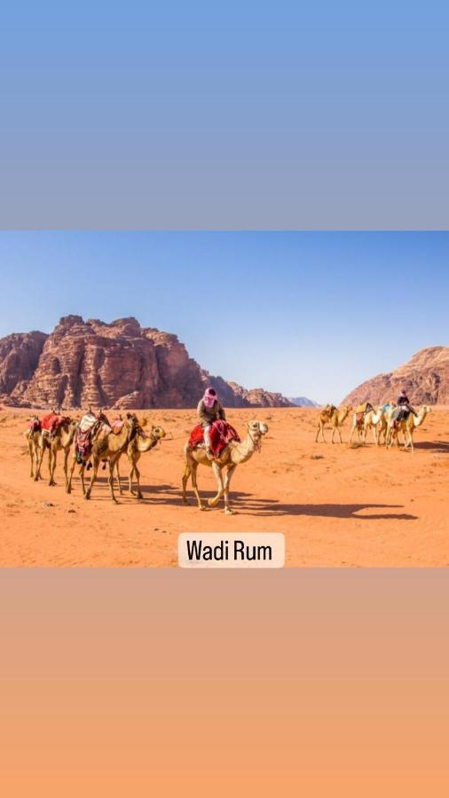 فندق Wadi Rum Sand Delight Camp المظهر الخارجي الصورة