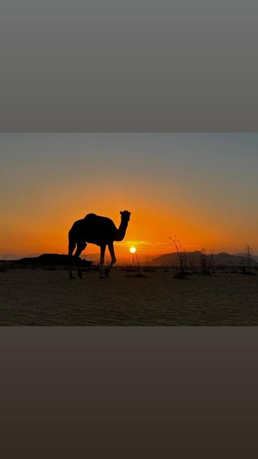 فندق Wadi Rum Sand Delight Camp المظهر الخارجي الصورة